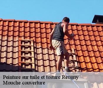 Peinture sur tuile et toiture 03190