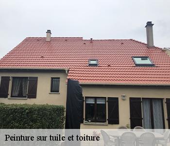 Peinture sur tuile et toiture 03190
