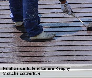 Peinture sur tuile et toiture