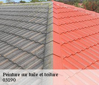 Peinture sur tuile et toiture 03190