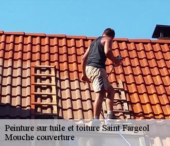 Peinture sur tuile et toiture 03420