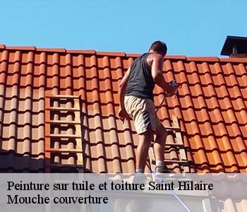 Peinture sur tuile et toiture 03440
