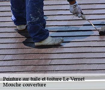 Peinture sur tuile et toiture