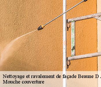 Nettoyage et ravalement de façade