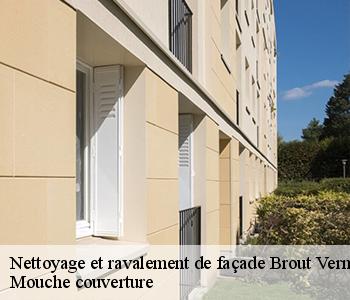 Nettoyage et ravalement de façade brout-vernet-03110 Mouche couverture