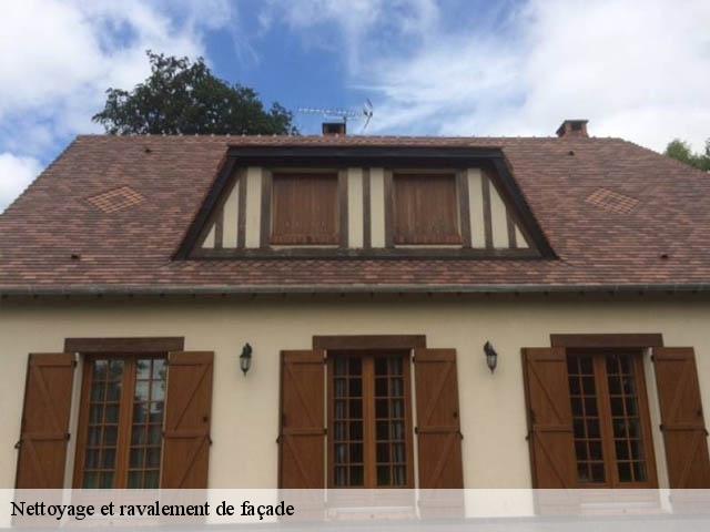 Nettoyage et ravalement de façade 03220