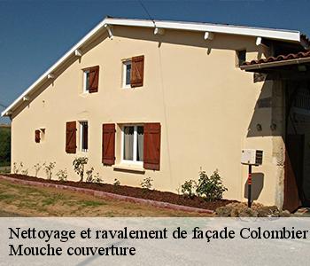 Nettoyage et ravalement de façade 03600