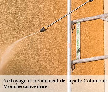 Nettoyage et ravalement de façade