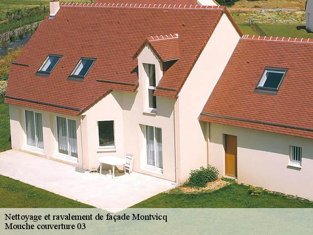 Nettoyage et ravalement de façade  montvicq-03170 Mouche couverture 03