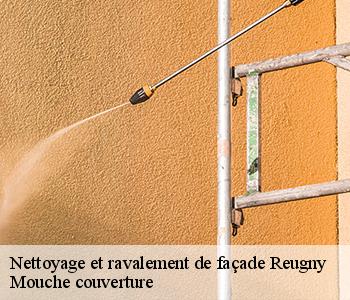 Nettoyage et ravalement de façade