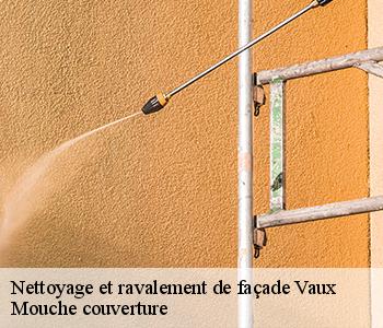 Nettoyage et ravalement de façade