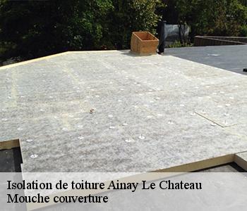 Isolation de toiture ainay-le-chateau-03360 Mouche couverture