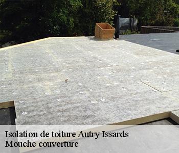 Isolation de toiture autry-issards-03210 Mouche couverture