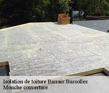 Isolation de toiture  barrais-bussolles-03120 Mouche couverture