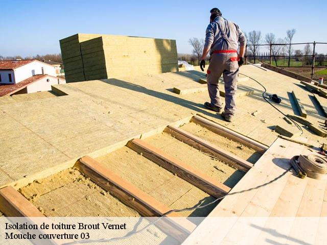 Isolation de toiture  brout-vernet-03110 Mouche couverture 03