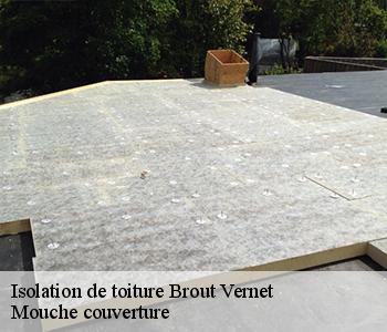 Isolation de toiture brout-vernet-03110 Mouche couverture