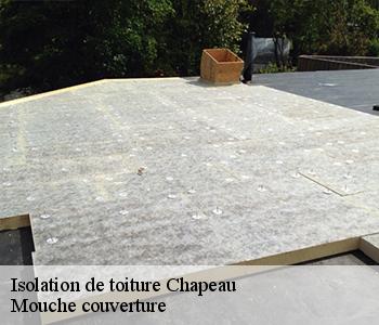 Isolation de toiture  chapeau-03340 Mouche couverture 03