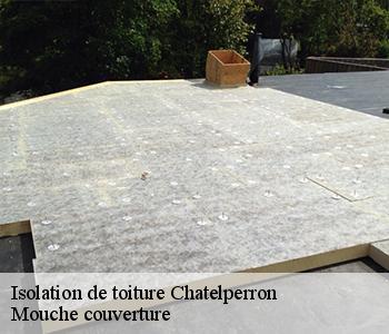 Isolation de toiture chatelperron-03220 Mouche couverture