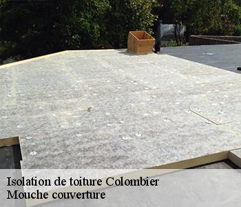 Isolation de toiture colombier-03600 Mouche couverture
