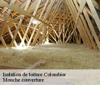 Isolation de toiture 03600