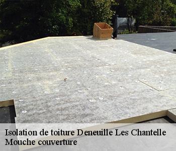 Isolation de toiture deneuille-les-chantelle-03140 Mouche couverture