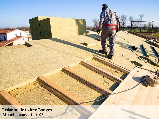 Isolation de toiture loriges-03500 Mouche couverture 03
