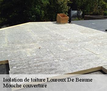 Isolation de toiture  louroux-de-beaune-03600 Mouche couverture