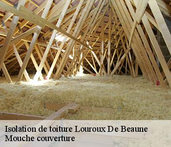Isolation de toiture  03600