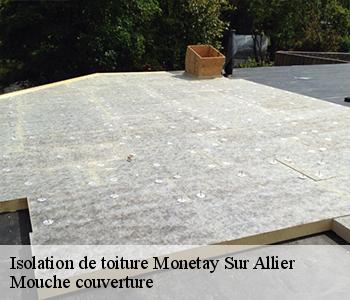 Isolation de toiture  monetay-sur-allier-03500 Mouche couverture