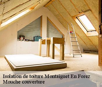 Isolation de toiture