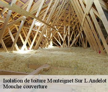 Isolation de toiture 03800