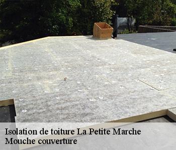 Isolation de toiture la-petite-marche-03420 Mouche couverture