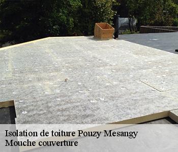 Isolation de toiture pouzy-mesangy-03320 Mouche couverture