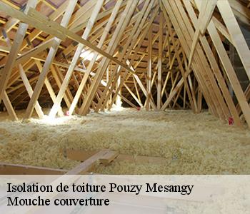 Isolation de toiture 03320
