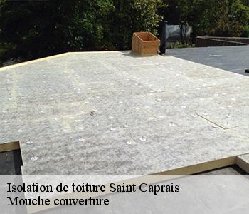 Isolation de toiture saint-caprais-03190 Mouche couverture