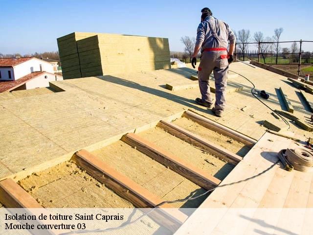 Isolation de toiture  saint-caprais-03190 Mouche couverture 03