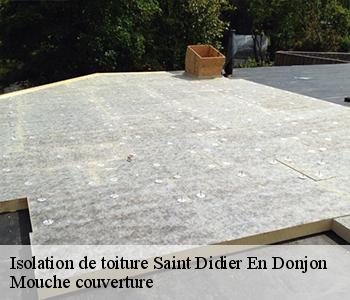 Isolation de toiture  saint-didier-en-donjon-03130 Mouche couverture