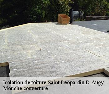 Isolation de toiture  saint-leopardin-d-augy-03160 Mouche couverture