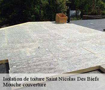 Isolation de toiture  saint-nicolas-des-biefs-03250 Mouche couverture