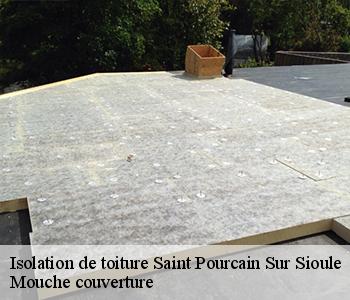Isolation de toiture saint-pourcain-sur-sioule-03500 Mouche couverture
