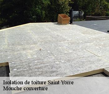 Isolation de toiture saint-yorre-03270 Mouche couverture