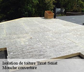 Isolation de toiture taxat-senat-03140 Mouche couverture