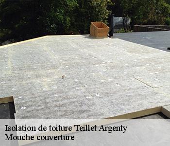 Isolation de toiture teillet-argenty-03410 Mouche couverture