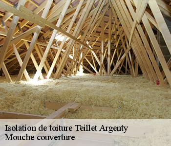 Isolation de toiture 03410