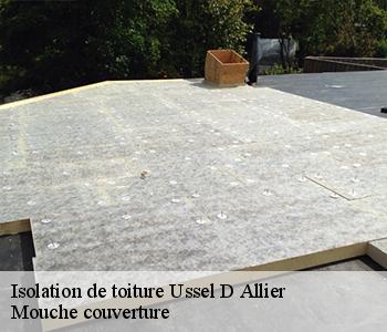 Isolation de toiture ussel-d-allier-03140 Mouche couverture