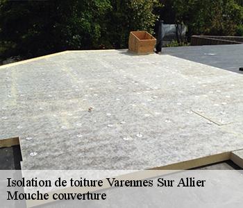 Isolation de toiture varennes-sur-allier-03150 Mouche couverture